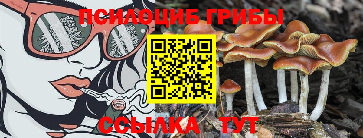 Галлюциногенные грибы Magic Shrooms Шарыпово