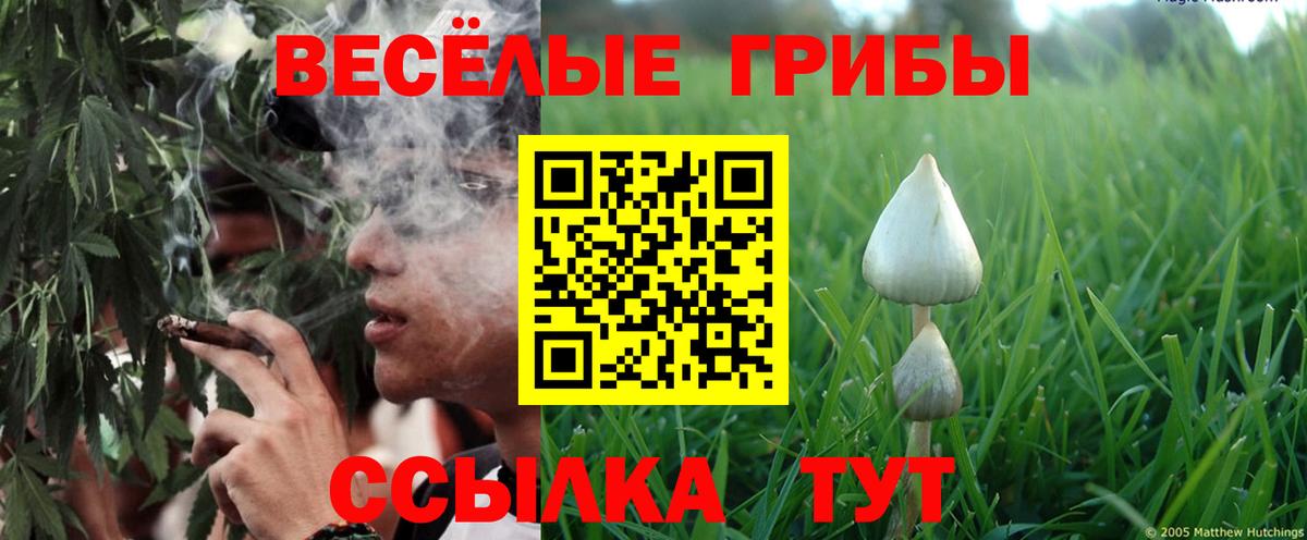 Меф мяу мяу Шарыпово