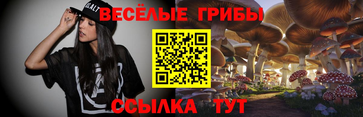 Галлюциногенные грибы Magic Shrooms  Вход с VPN  Шарыпово  Галлюциногенные грибы GOLDEN TEACHER 
